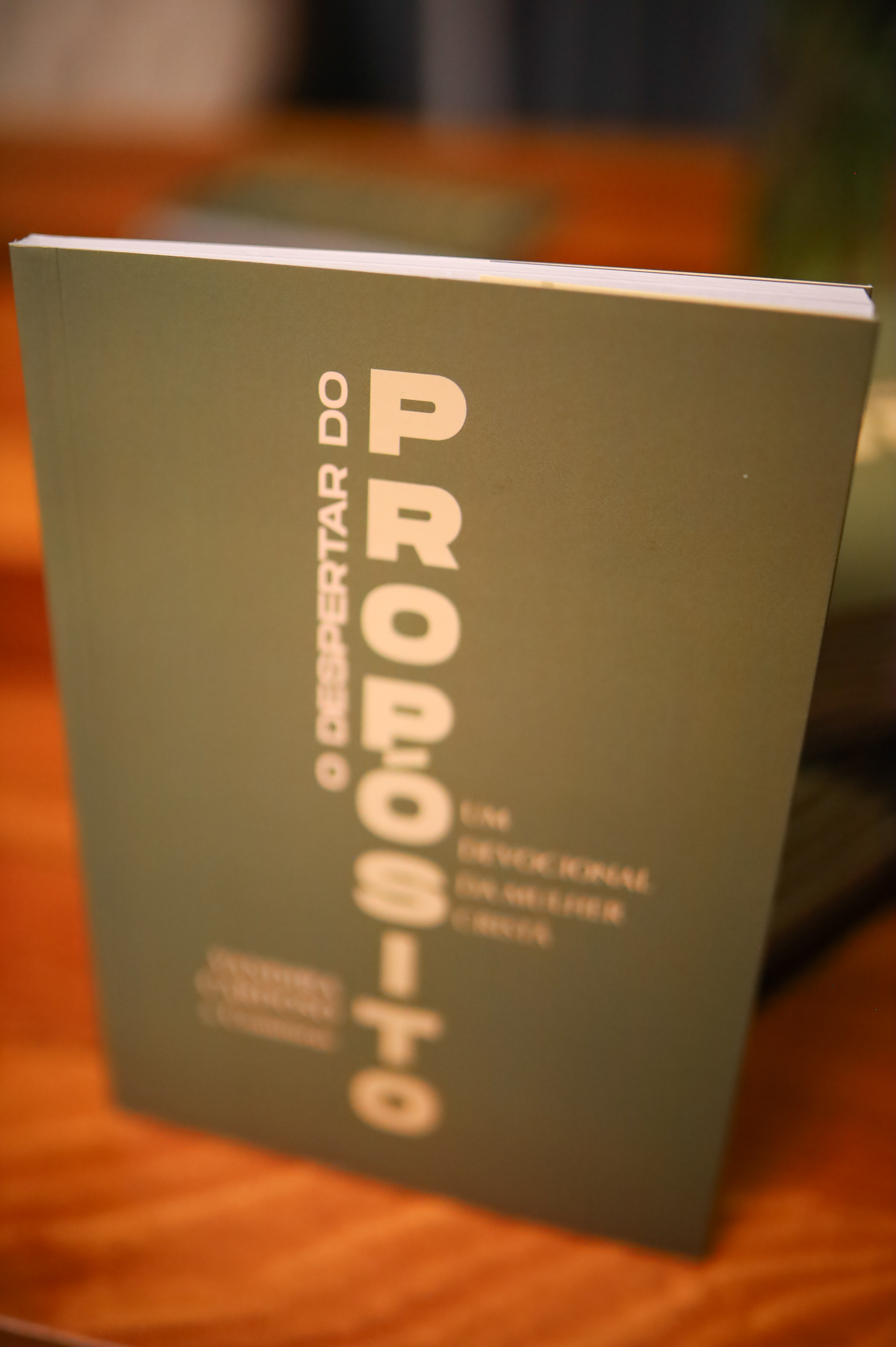 Exemplar finalizado do livro